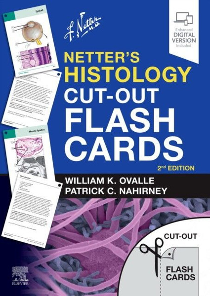 Netter'S Histology Flash Cards - купить с доставкой по выгодным ценам в ...