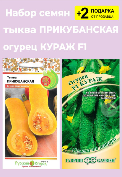 Огурцы, Тыквы Проверенные семена Прикубанская - купить по выгодным ценам винтернет-магазине OZON (796298910)