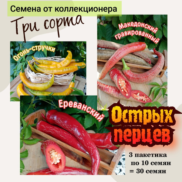 Перец острый семена перца - купить по выгодным ценам в интернет ...