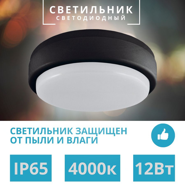 Светодиодный светильник LED ДПП 2902 12Вт 990 лм 4000К IP65 чёрный ...