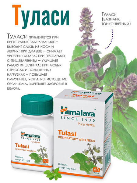 Пищевая добавка Туласи (Tulasi Himalaya) от простуды и гриппа ...