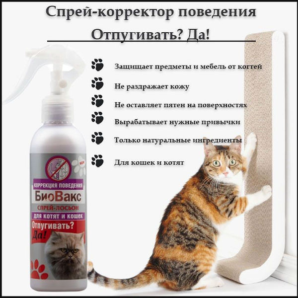 Как отпугнуть кота от дивана