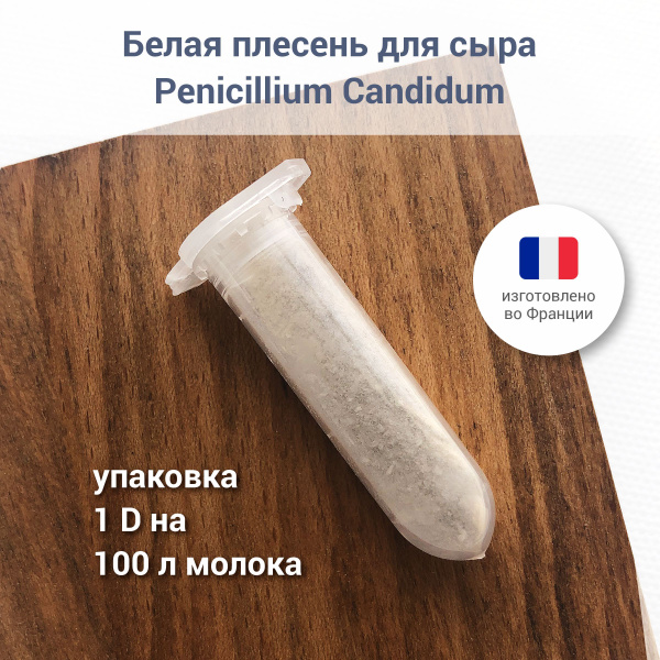 Белая плесень для домашнего сыра Penicillium Candidum, 1 D купить на ...