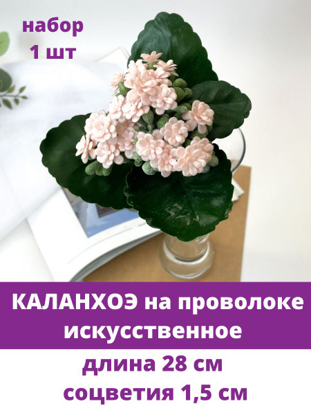 Купить Суккулент, Каланхоэ, Искусственная зелень, цвет Розовый, букет ...