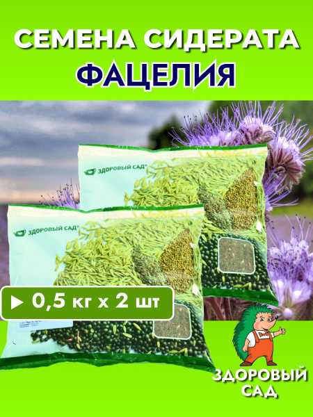 Здоровый сад Фацелия 0,5 кг - купить по выгодным ценам в интернет ...