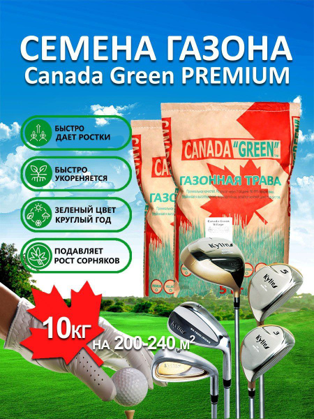 Различные травы, Газонные травы Canada Green газонной травы Премиум ...