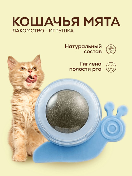 Игрушка шар с кошачьей мятой для кошки/ Лакомство коту с креплением /  PetLeon - купить с доставкой по выгодным ценам в интернет-магазине OZON  (553077128)
