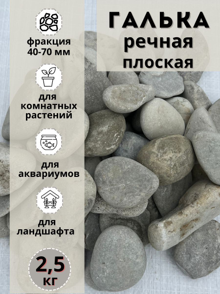 Галька речная светлая плоская 40-70 мм (2.5кг) для сада и огорода и ...