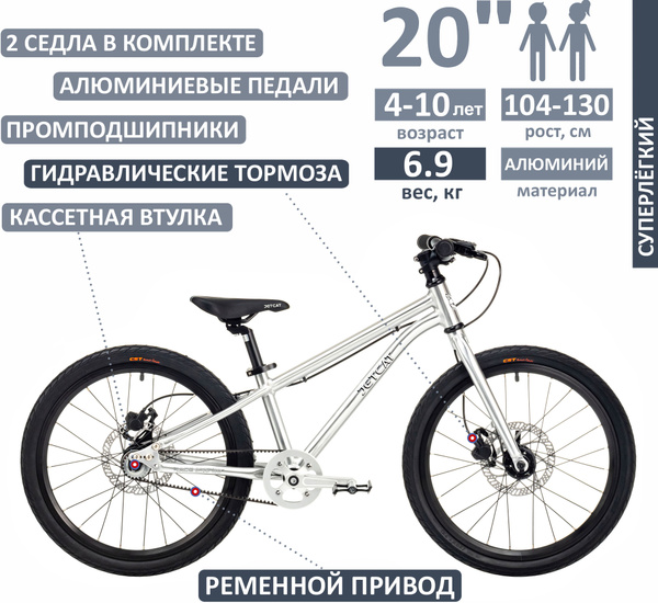 Велосипед - JETCAT - RACE PRO 20" дюймов DISC SINGLE SPEED - SILVER ...
