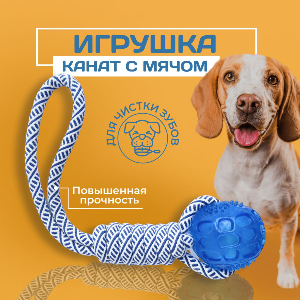 Мяч с шипами на веревке, жевательная игрушка тяни-толкай для собак ...