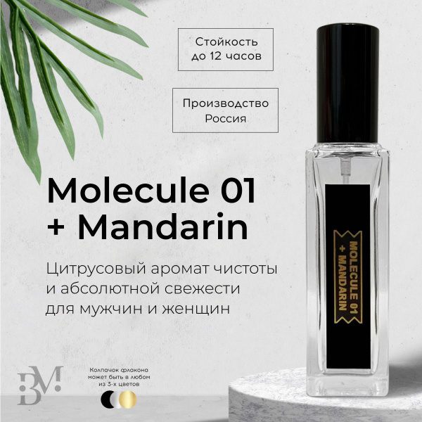 Масляные духи Молекула 01 Мандарин Парфюм Molecule 01 + mandarin купить ...
