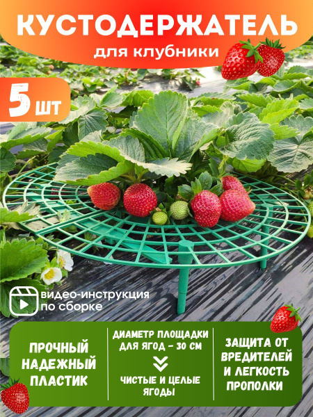 Кустодержатель, опора для растений, подставка под клубнику, набор 5 шт ...