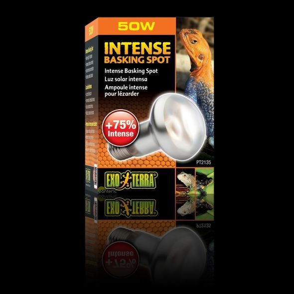 Греющая лампа для террариума с зауженным лучом Hagen Exo-Terra Intense ...