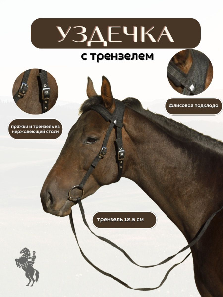 Sweethorse / Уздечка с трензелем и поводом для лошади - купить с ...