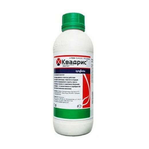 Квадрис 1л - купить с доставкой по выгодным ценам в интернет-магазине ...
