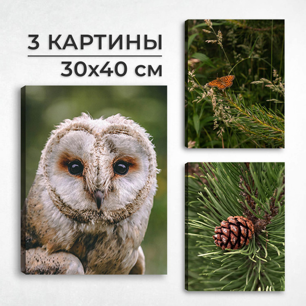 Картина модульная интерьерная триптих постер на холсте на стену LORI ...