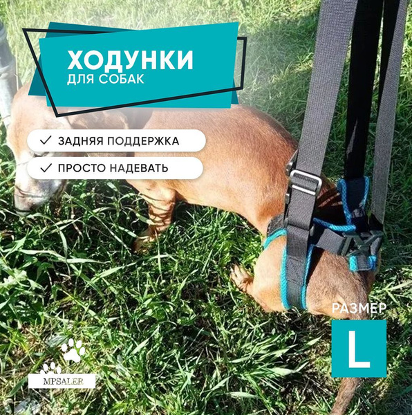 Ходунки для собак, поддержка задних лап пожилых и травмированных собак ...