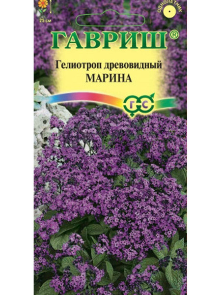 Гавриш Гелиотроп древовидный Марина - купить по выгодным ценам в ...
