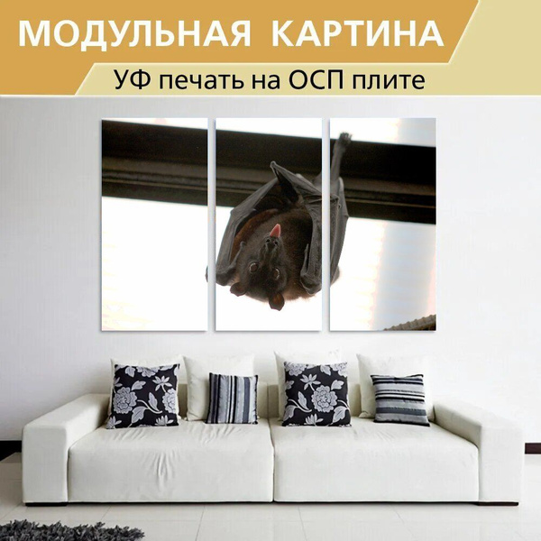 Модульная картина "Летучая мышь, летающий лис, вампир" для интерьера на ...