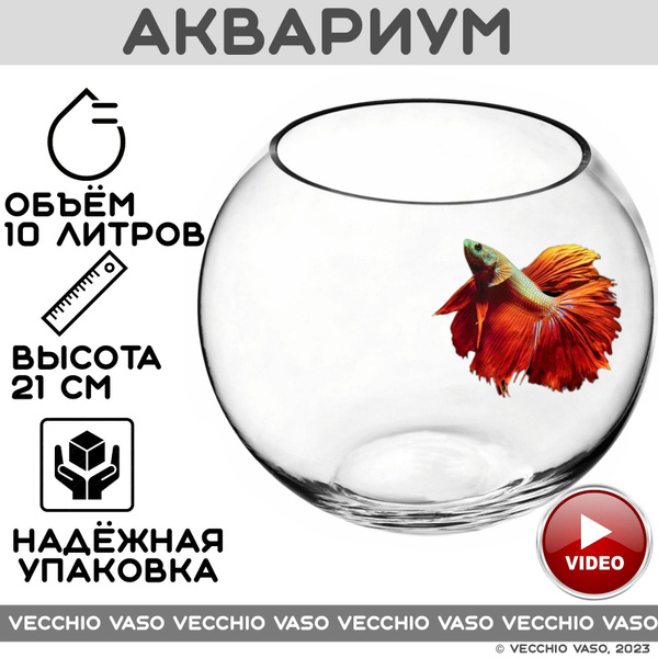 Аквариум шар круглый для рыбок 10 литров - купить с доставкой по ...