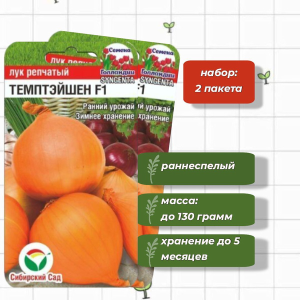Лук Сибирский сад СибСадЛук - купить по выгодным ценам в интернет-магазине OZON 