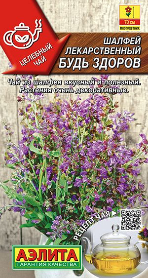 Шалфей Агрофирма Аэлита 46-SHALFEI_фиолетовый_зеленый - купить по ...