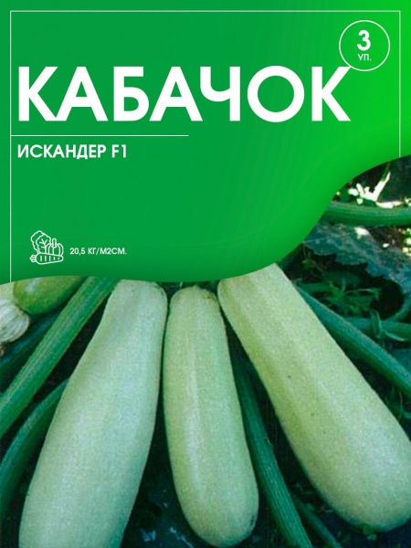 Кабачок Искандер F1 Купить Семена Отзывы Покупателей