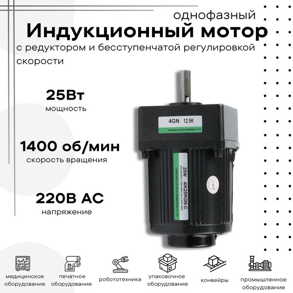 Мотор индукционный 25Вт с бесступенчатой регулировкой скорости и ...