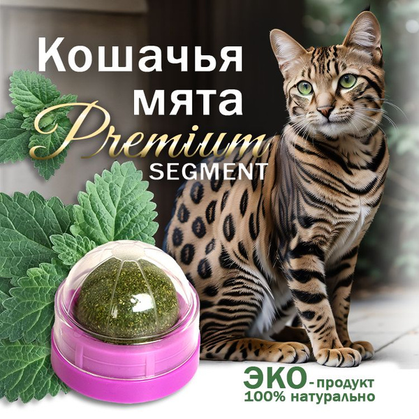 Кошачья мята кошкам. Шарик игрушка с мататаби - купить с доставкой по ...