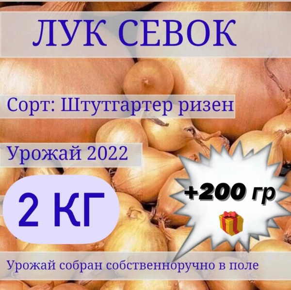 севок111 - купить по выгодным ценам в интернет-магазине OZON (1247498106)