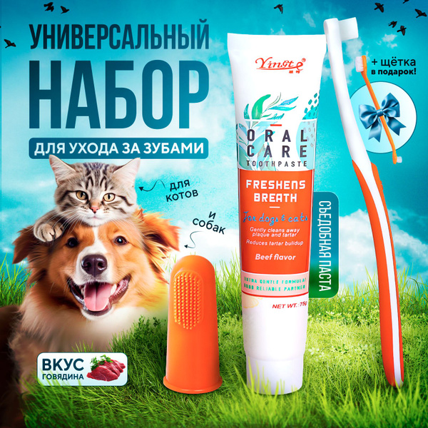 Зубная паста для собак и кошек - купить с доставкой по выгодным ценам в ...