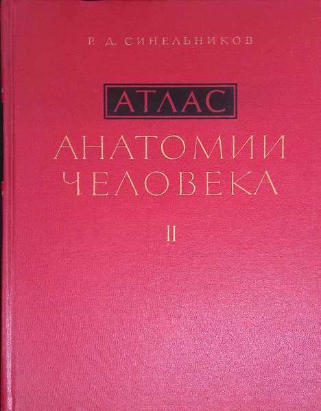 Атлас анатомии человека. В 3 томах. Том 2 - купить с доставкой по ...