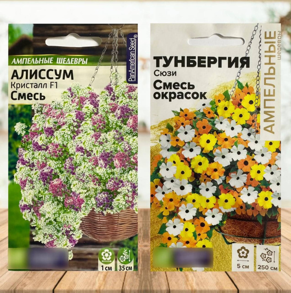 Тунбергия, Алиссумы Семена Алтая Семена цветов для дома и сада Алиссум ...