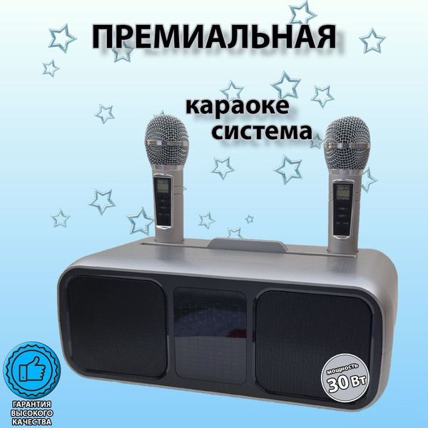 Беспроводная караоке система с двумя блютуз микрофонами для всей семьи ...