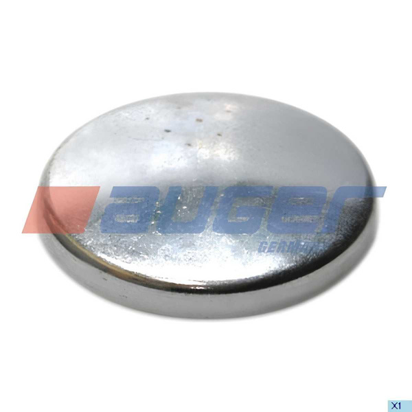 Крышка шкворня MAN F2000/Lions (AUGER) - купить по доступным ценам в ...