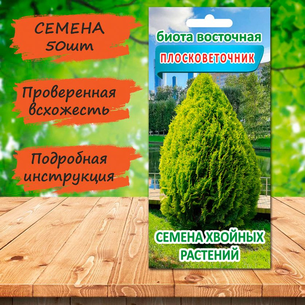 Туи, Декоративные разные набор - купить по выгодным ценам в интернет ...