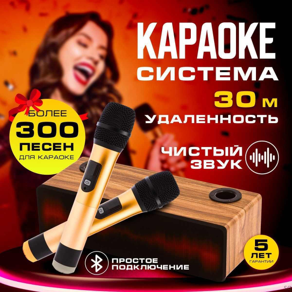 Караоке система для дома, 2 микрофона - купить с доставкой по выгодным ...
