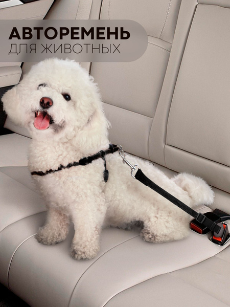 Автомобильный ремень безопасности для собак и кошек (регулируемый авто ...