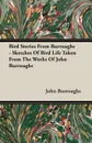 Bird Stories From Burroughs - Sketches Of Bird Life Taken From The Works Of John Burroughs - John Burroughs