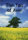 The Tao of Awe - Tony Kearney