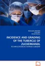 INCIDENCE AND GRADING OF THE TUBERCLE OF ZUCKERKANDL - Baharudin Abdullah, Usha Devi, Shahid Hassan