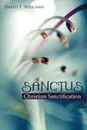 Sanctus. Christian Sanctification - David T. Williams