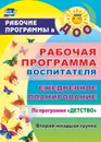 Рабочая программа воспитателя: ежедневное планирование по программе 