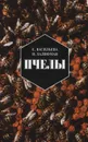 Пчелы. Повесть о биологии пчелиной семьи и победах науки о пчелах - Васильева Евгения Николаевна, Халифман Иосиф Аронович
