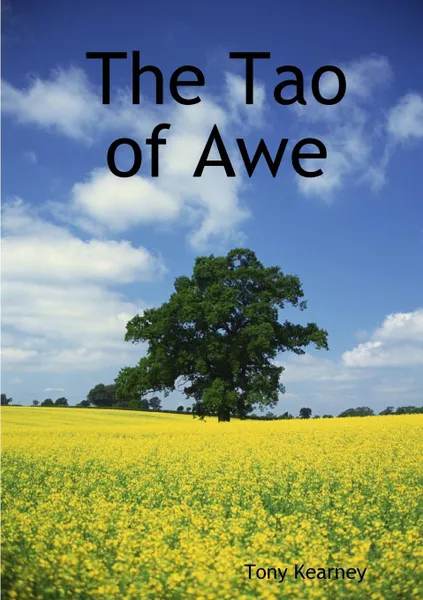 Обложка книги The Tao of Awe, Tony Kearney