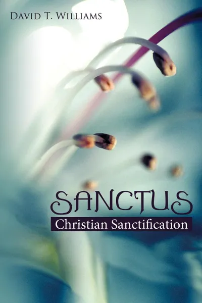 Обложка книги Sanctus. Christian Sanctification, David T. Williams