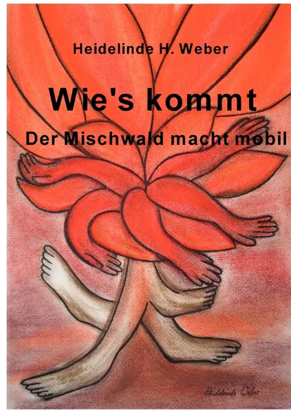 Обложка книги Wie's kommt, Heidelinde H. Weber