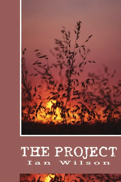 Обложка книги The Project, Ian P Wilson