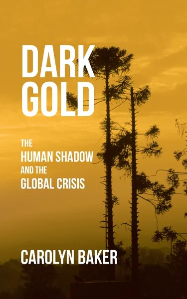 Обложка книги Dark Gold. The Human Shadow and the Global Crisis, Carolyn Baker