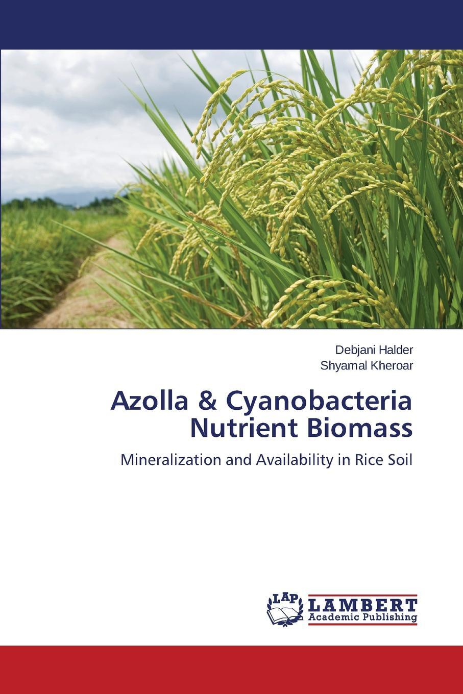фото Azolla & Cyanobacteria Nutrient Biomass